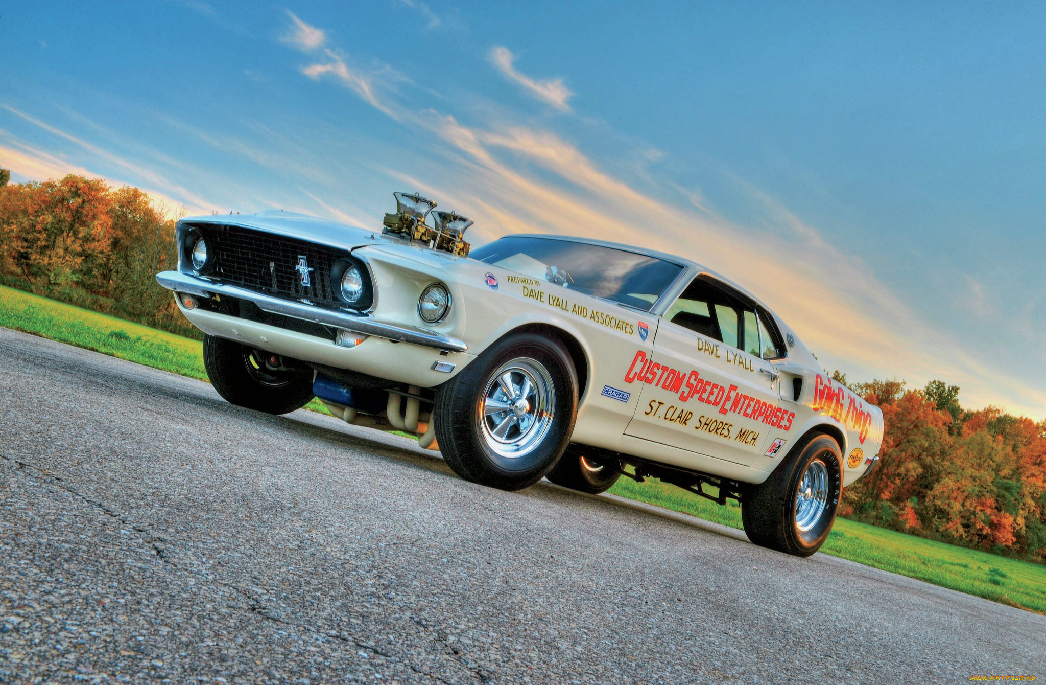, mustang
